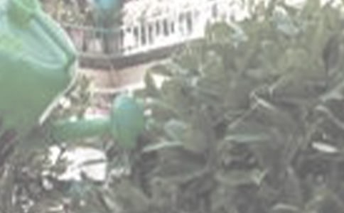 ���꼶�������Ľ���9ƪ