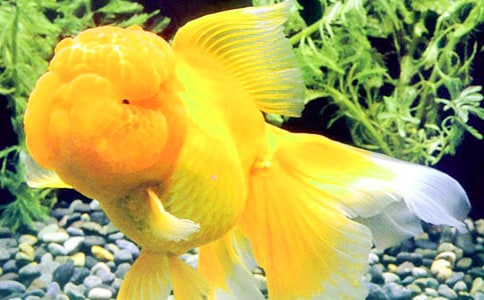 ���꼶��������300��3ƪ