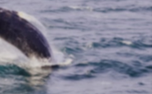 ��д����ľ���