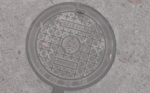 窨井盖二年级作文