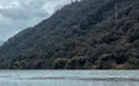 描写六月景色的句子