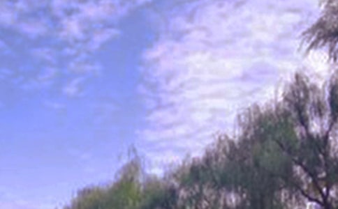 ��д��ɫСѧ����