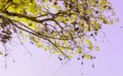 ��д��Ȼ��ɫ�ľ���