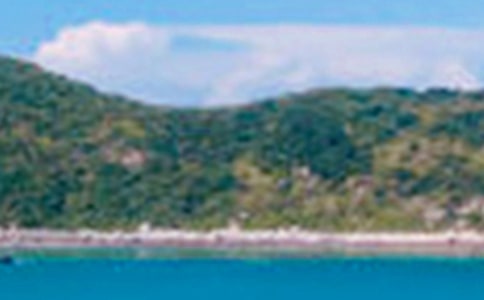 形容美丽景色的句子9条