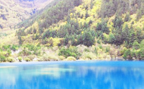 ��կ�����δʡ��ȡ�