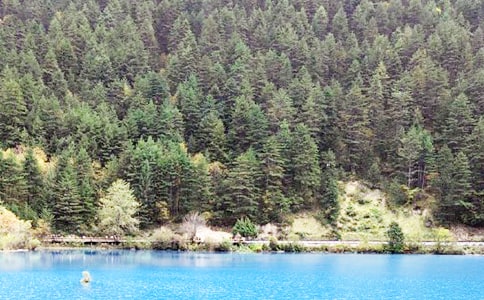 ���ر�����կ�����δ�