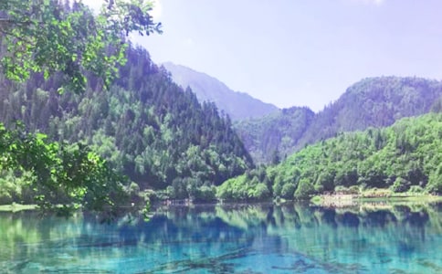 四川九寨沟旅游导游词13篇