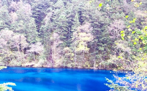 ��կ�����δ�