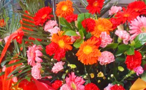 (集合)新店开张贺词9篇