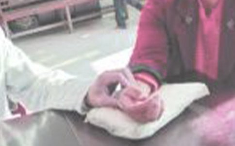 ѧ�ῴ������о�ѡ15ƪ