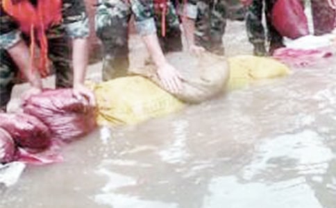 ���¿������չ����ܽᣨͨ��10ƪ��