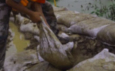 ��������ĵ���᷶�ģ���ѡ8ƪ��