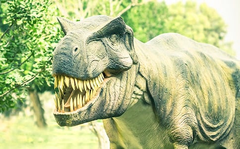 ��ð��С����֮��Ҫ����ʿӢ�ۡ������