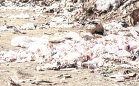 房屋拆除及垃圾清运协议书