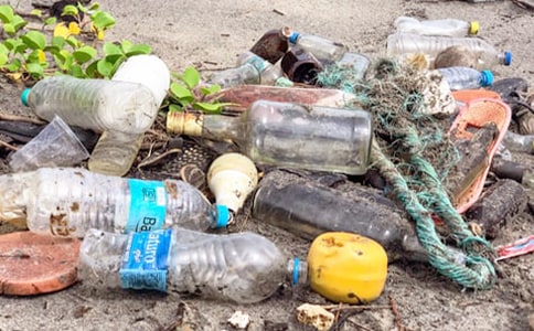 ���������ͬ����15ƪ