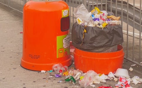 二年级看图写话乱扔垃圾作文