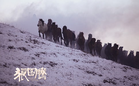 《狼图腾》读后感汇总【15篇】