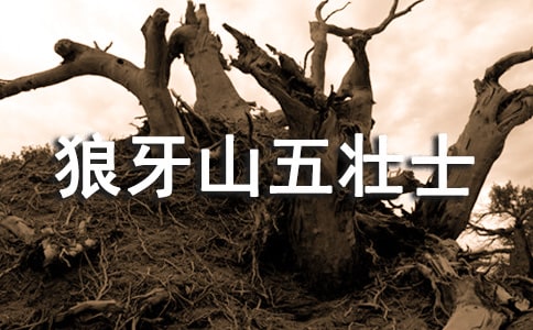 读《狼牙山五壮士》有感范文15篇