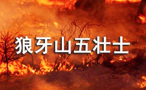 ����ɽ��׳ʿ����У���ѡ��