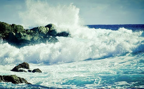 �˻�����-������