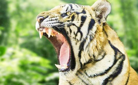 ��С�ϻ����ռǡ������15ƪ