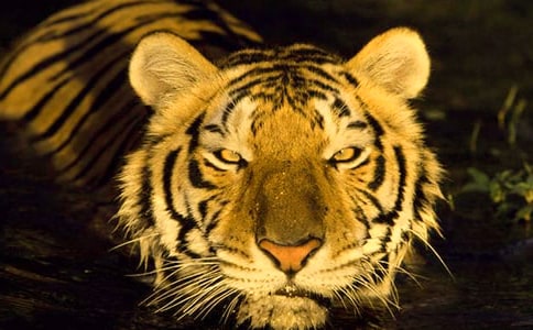 ���ϻ����ס������