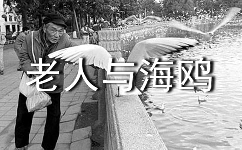 �����뺣Ÿ����ʼ�