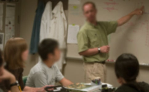 (实用)我的老师小学作文4篇