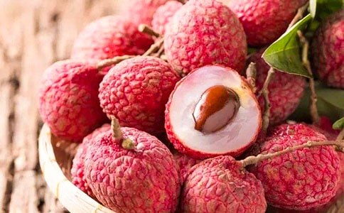 (合集)《长安的荔枝》读后感15篇