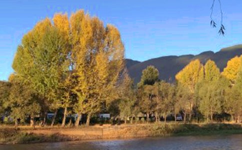 �����ųǵ��δʡ��Ƽ���