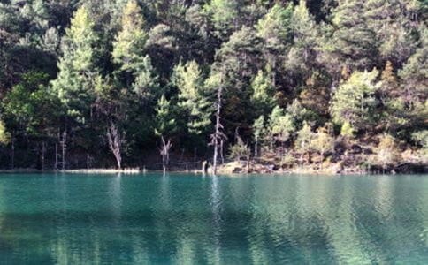 关于丽江的导游词