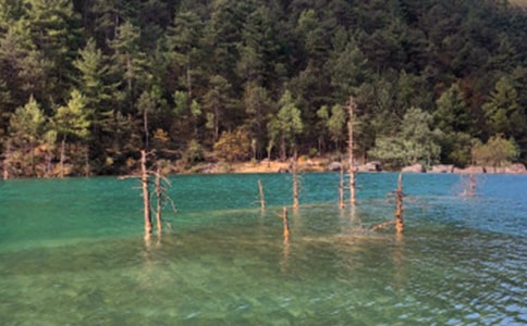 ����������_Сѧ����