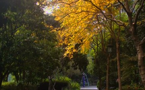 ��д����������ľ���