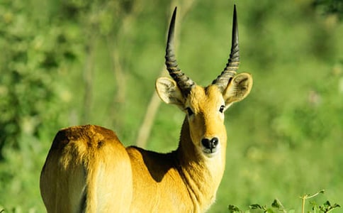 ���������ݡ������15ƪ