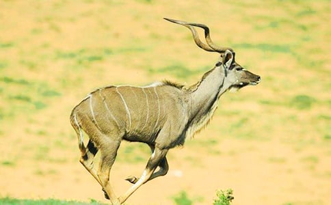 ����ľ�����о�ѡ15ƪ