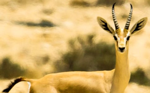 ���������ݡ������