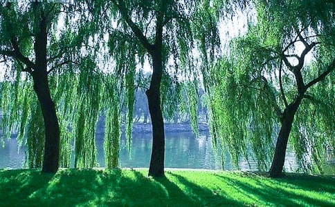 2023�����������ľ��Ӽ���42��