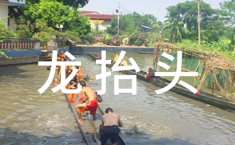 唯美龙抬头祝贺词大全60句精选