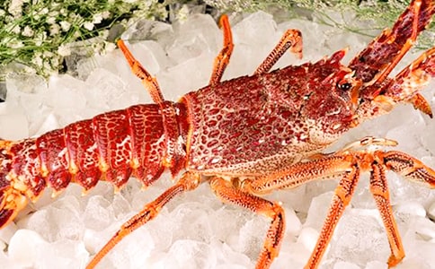 ����Ʒ�����꼶��Ϻ����4ƪ