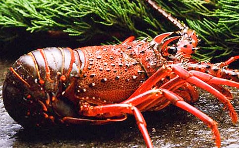 形容小龙虾好吃的句子