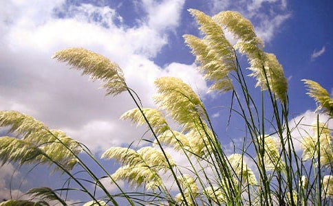 ������«έ��˵�θ�