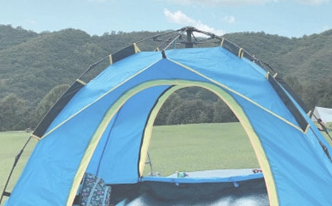 有关露营小学作文三篇