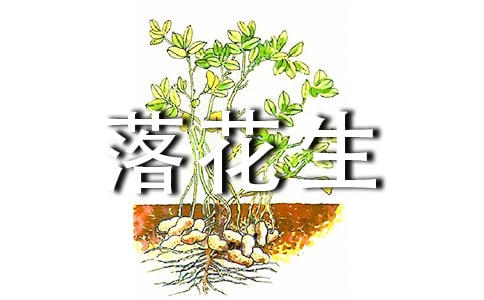 (热门)落花生读后感