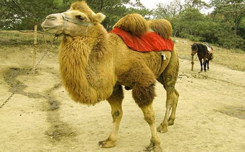 �����ս�ѧ��˼