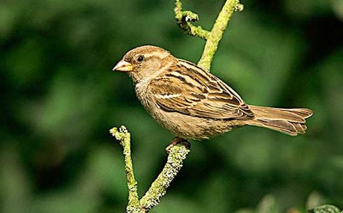 ����ȸ����ѧ��˼[��ѡ15ƪ]