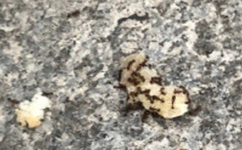 ���ϵ���ʾ-������