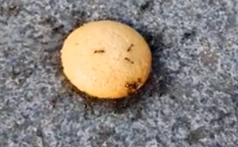 �����ϱ����������