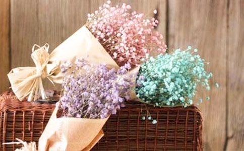 关于满天星的唯美句子