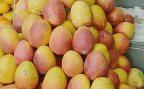 ��дâ����Ҷ�ľ���