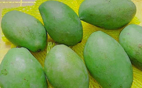 ��â��Сѧ����